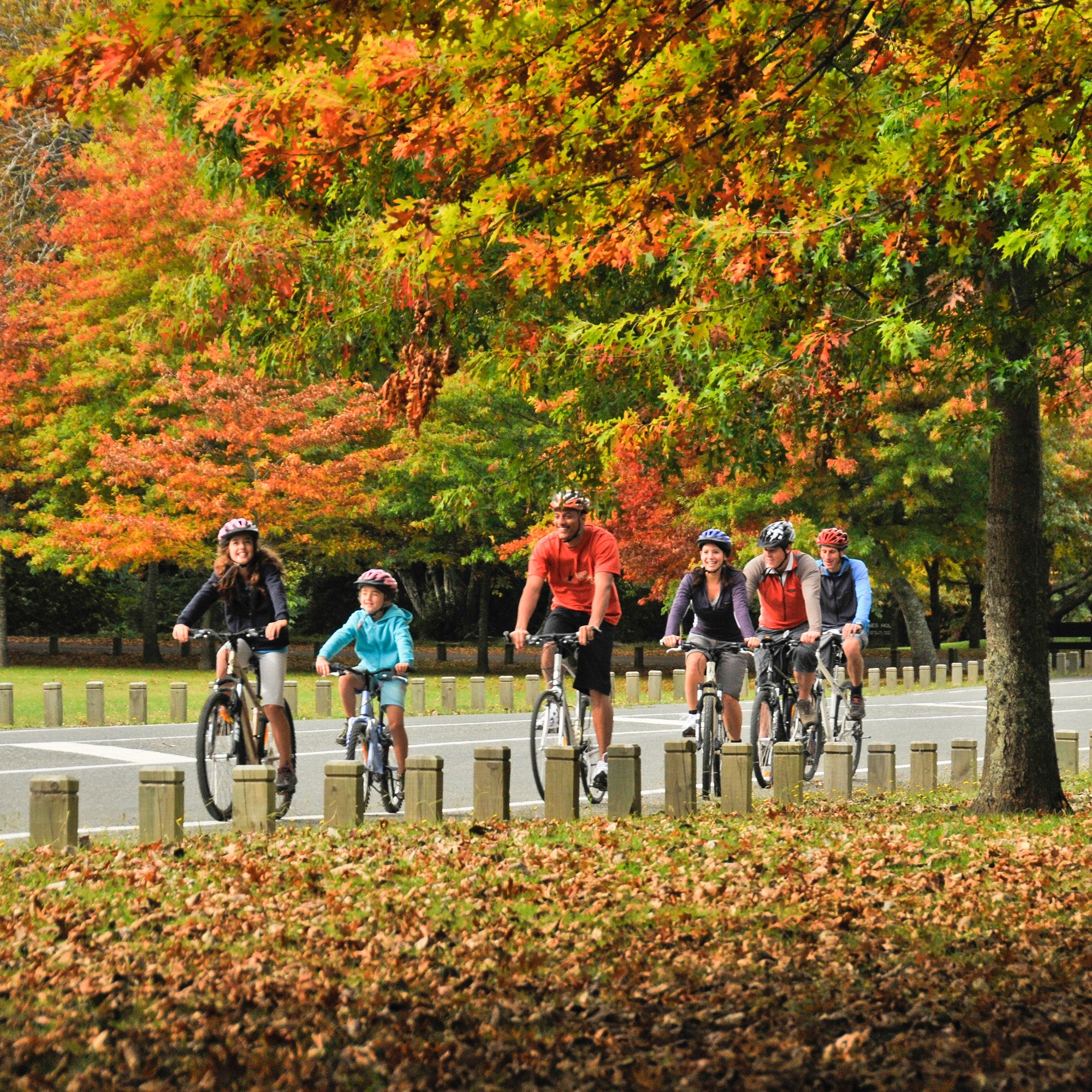 191341-family-cycling-in-the-autumn-leaves-2000x2000px